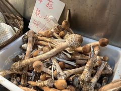 -小小饭店·休闲农庄·安吉松树林里的农家菜