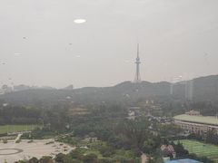 -汇泉王朝大饭店-旋转餐厅(南海路店)