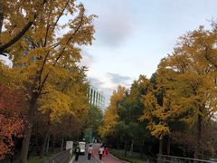 -北外滩滨江绿地