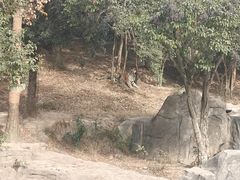 -宁波野生动物园