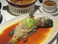 -侨美·唐荔园·40年地道粤菜