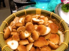 -捞王猪肚鸡火锅(财富中心店)