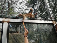 -北京鹿世界主题园