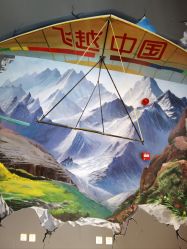 -飞览天下沉浸式飞行体验(北京旗舰店)