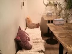 -小时光咖啡馆(北锣鼓巷店)