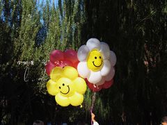 -长白岛森林公园