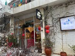 -春树下·树屋花房西餐厅(罍街AS1980店)