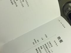 -新加坡航空公司(ION)