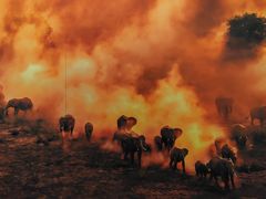 -罗红摄影艺术馆