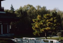 -御宴宫·宴会厅