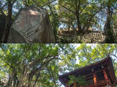 -乌山风景区