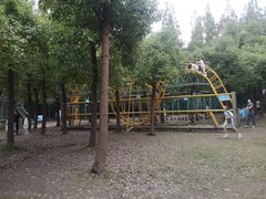 -上海滨江森林公园