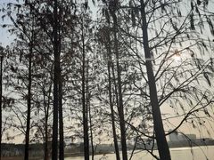 -海珠湖公园