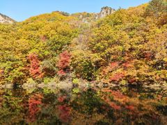 -关门山森林公园