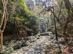 -梦姑塘文化公园