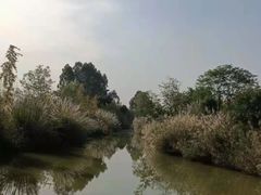 -白鹭湾湿地公园