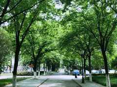 -南京航空航天大学(明故宫校区)