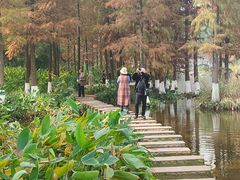 -重庆彩云湖湿地公园