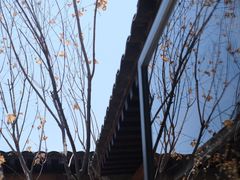 -VOYAGE COFFEE(杨梅竹店)