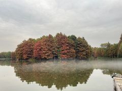 -尚湖风景区