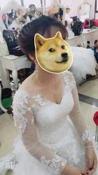 点击看大图 -经典婚纱摄影美学馆·私人定制
