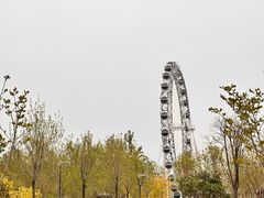 -渔岛海洋度假区