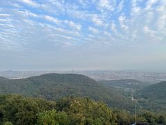 -南京老山国家森林公园