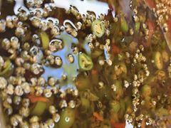 -徐妹串串香(春熙路店)