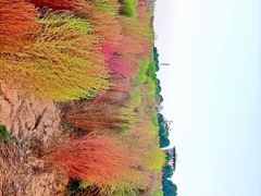 -花博汇(知音花月夜)
