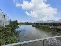 -马陆小张葡萄园农家乐