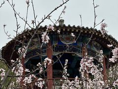 -北京凤凰岭
