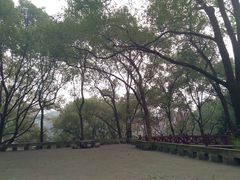 -忠山公园
