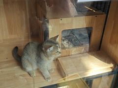 -凯德广场(学府店)