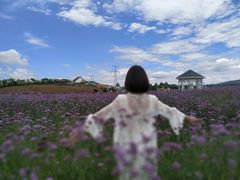 -紫颐香薰山谷景区