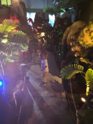 -恐龙探索乐园(磁器口店)