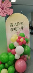-宝宝百日宴周岁生日派对气球布置策划