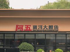 -阿五黄河大鲤鱼(英协路店)