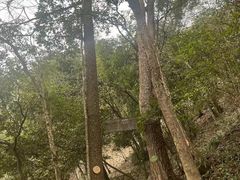 -东天目山风景区