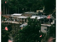 -狮子山郊野公园