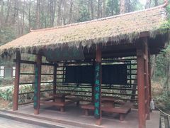 -铁山坪森林公园