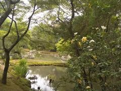 -大阪市立自然史博物馆