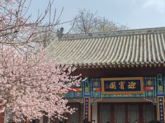 -桃花堤公园