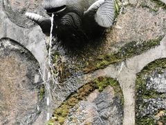 -杭州半山国家森林公园