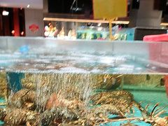 -阿伟海鲜楼·福建菜(延寿店)