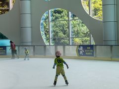 -世界之窗阿尔卑斯冰雪世界