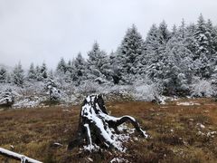 -硗碛藏寨·神木垒景区