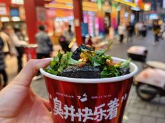 -黑色经典臭豆腐·湖南特产(坡子街店)