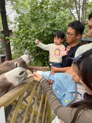 -萌宠亲子动物乐园(槐房万达店)