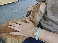 -西关竹园(荔枝湾店)