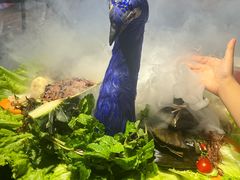 -品德宏·孔雀宴的发源地(金塔园店)